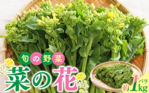 旬の野菜 菜の花バラ 約1kg【2025-12月上旬～2026-3月下旬配送】