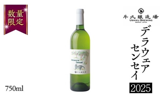 🍷新酒2025年が出来上がりました！デラウェアセンセイ2025🍷