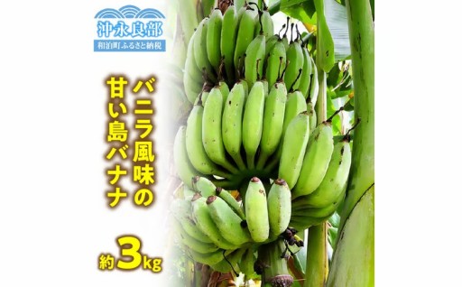 【先行予約✅】農薬・除草剤・化学肥料不使用！バニラ風味の甘い島バナナ🍌 3kg（2026年4月上旬～お届け）