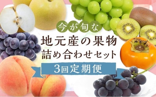 【3回定期便】今が旬な地元産の果物詰め合わせセット