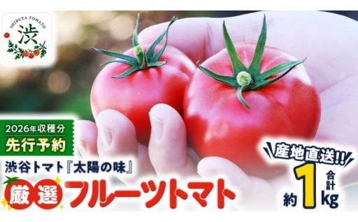 ＼ 1つ食べだすと止まらない！ ／ 太陽の味 フルーツトマト 約1kg