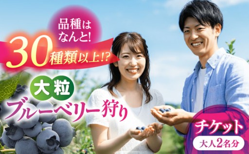 初夏のお出かけ計画に！ブルーベリー食べ放題！