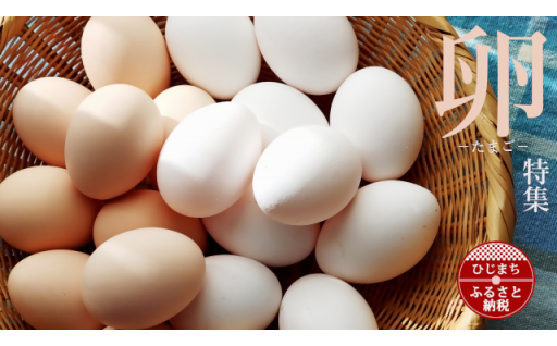 🥚✨🥚✨【リピーター多数】たまごの返礼品✨🥚✨