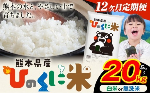 【12ヶ月定期便】熊本県産 ひのくに米!!
