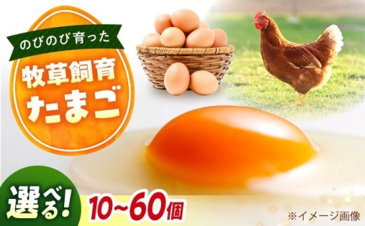 自然の恵みが弾ける！広大な牧草地で育った放し飼いたまご