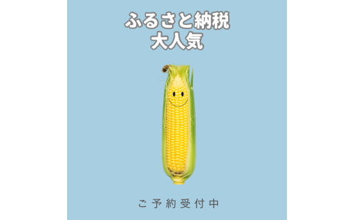 【先行予約受付中】～とうもろこし～