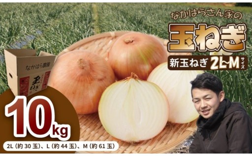 【先行予約受付中】タマネギ（新玉ねぎ）