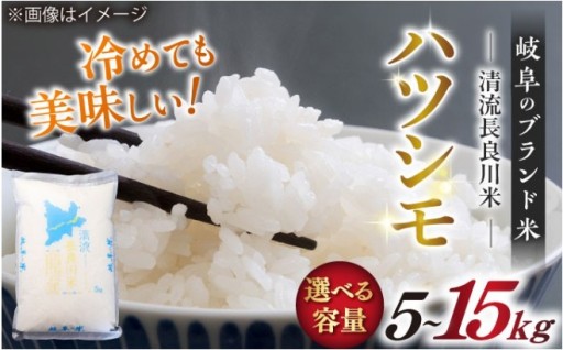 ＼キャンペーン対象／『R7年産 岐阜ハツシモ』選べる容量