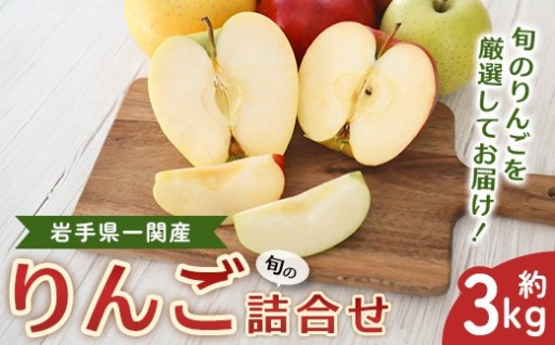 道の駅だいとう厳選 旬のりんご詰合せ 約3kg