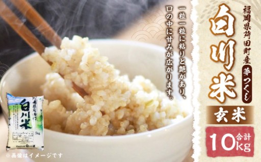 白川米 ( 夢つくし ) 玄米 合計10kg（5kg×2袋）