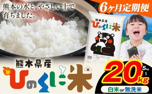 【6ヶ月定期便】熊本県産 ひのくに米受付再開！