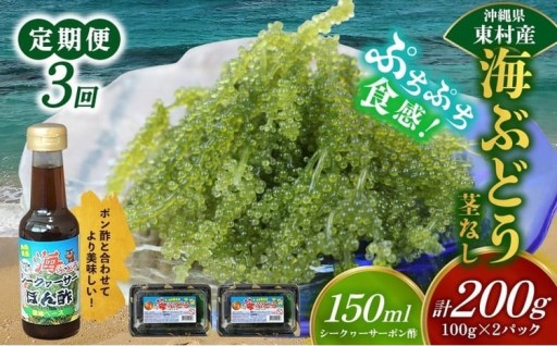 【定期便：3回】美ら海 沖縄県産 海ぶどうセット／茎なし200g（100g×2パック）ポン酢付 