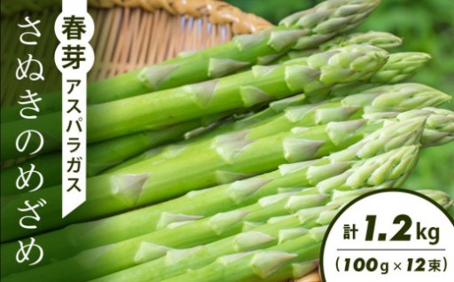 今が旬！春芽アスパラガス「さぬきのめざめ」(100g×12束)