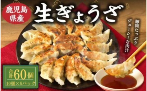 鹿児島 生ぎょうざ60個セット