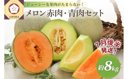 【2026年7月後半発送】津軽のメロン約8kg(赤肉・青肉セット)4～6玉・秀～優青森産