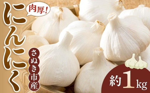 先行予約 さぬき市産 にんにく 約1kg 5月中旬から順次発送