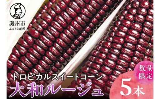 【先行予約】とうもろこし 大和ルージュ 5本 【数量限定】 2026年9月上旬から出荷 [T0030]