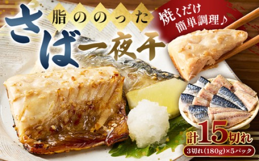 脂ののったさば一夜干　3切れ180g×5パック 