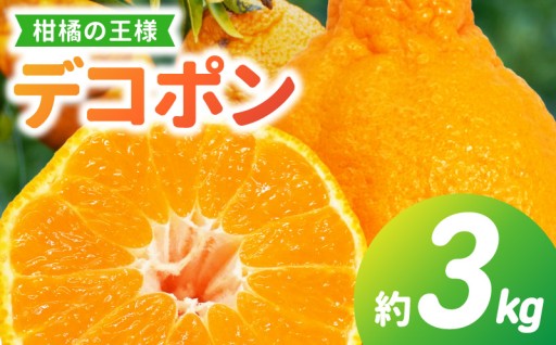天草産 デコポン 3kg　今季発送は本日受付終了🍊