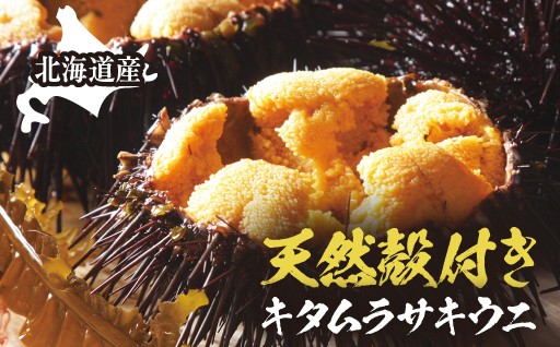 【天然】殻付き！キタムラサキウニの濃厚な旨味