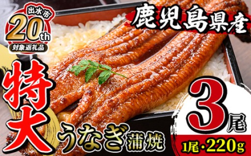  【出水市 誕生20周年企画！】＼特大サイズ／鹿児島県産 うなぎ蒲焼 3尾（約220g×3・計約660g）
