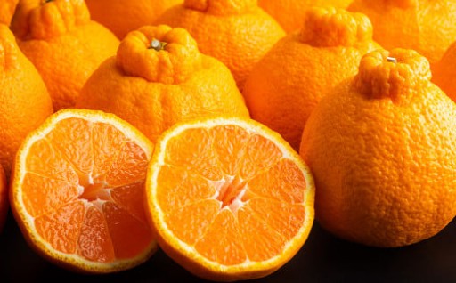 長期熟成 蔵熟 デコポン 約2.5kg 【2026年4月上旬発送開始】