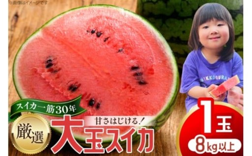 ほどける食感！朝採りすいかをその日に発送致します