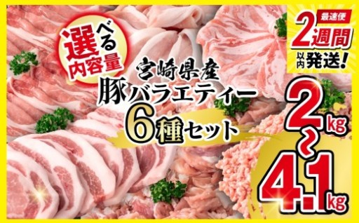 【選べる内容量】宮崎県産豚肉 ６種 バラエティ