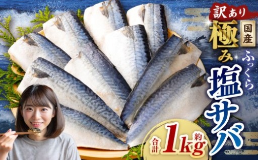 【訳あり】国産 ふっくら 極み塩サバ 計約1kg