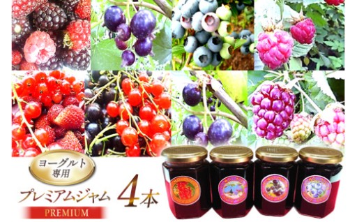 ヨーグルト専用プレミアム・ジャムセット