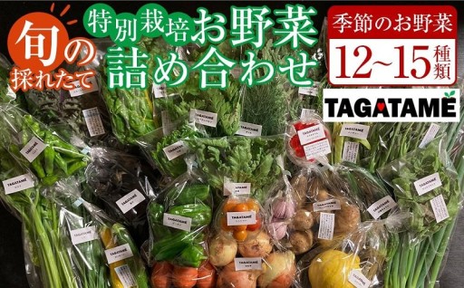 特別栽培 旬の採れたて 12～15種類お野菜詰め合わせセット