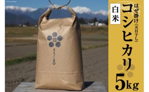 北アルプスの麓で育った健やか米！