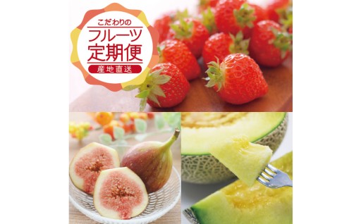 農家直送！季節の酒田産フルーツをお届けする３回定期便🚚