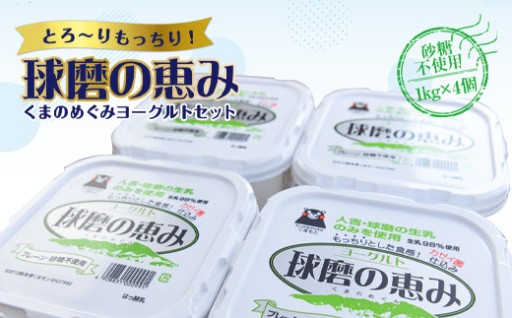 球磨の恵みヨーグルトセット(砂糖不使用1kg×4個)