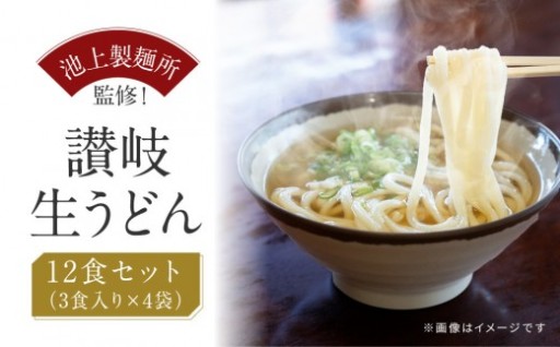 讃岐生うどん12食入（1袋3食入×4袋）＊鎌田醤油だし醤油付＊ 池上製麺所監修！