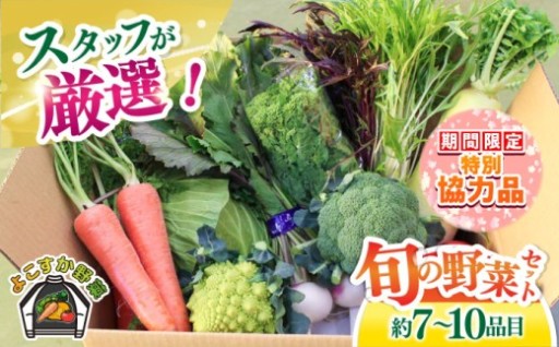 よこすか野菜セット【JAよこすか葉山】