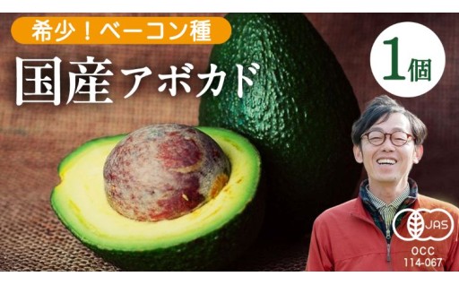 【大崎上島町限定】国産オーガニックアボカド