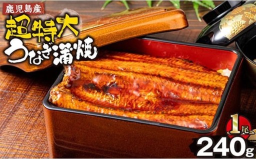 鹿児島産超特大うなぎ蒲焼(無頭) (計240g以上・240g以上×1尾)