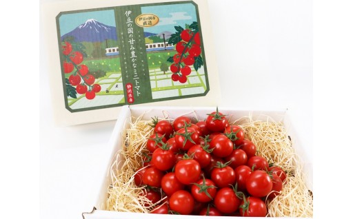 umamiトマト（化粧箱入り）