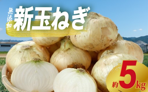 春をいちばんに届ける 新たまねぎ サンズファーム