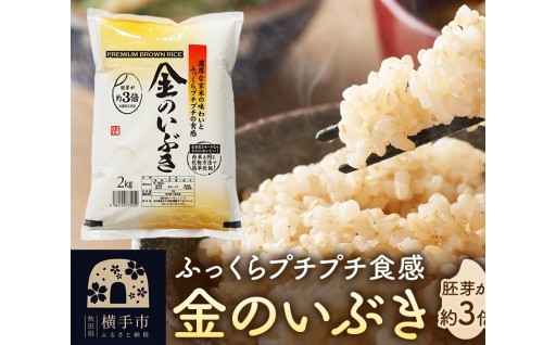 ✨玄米の常識を変える『金のいぶき』✨