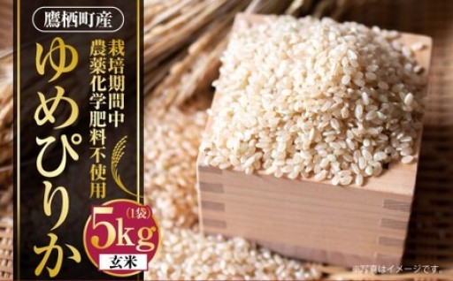 【令和7年産】 ゆめぴりか （ 玄米 ） 栽培期間中農薬化学肥料不使用 5kg