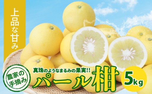 🍊天草自慢の柑橘！パール柑のご紹介🍊～受付終了間近～