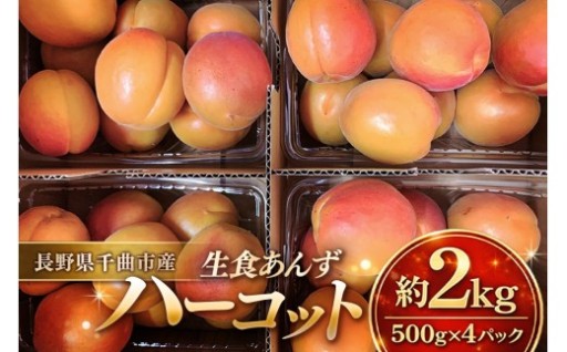 あんず ハーコット 生食用 約2kg