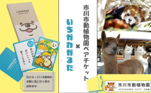 いちかわかるた＆市川市動植物園ペアチケット