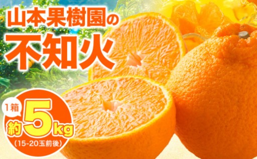 濃厚な甘みと酸味！ジューシーな 不知火（しらぬい） 約5kg 山本果樹園