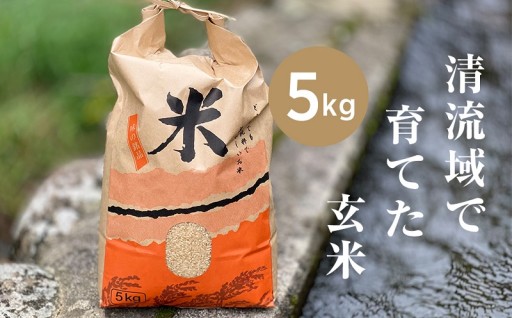 ＜先行受付＞清流で育てた「きぬむすめ玄米」5kg