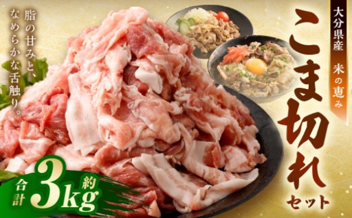 大容量 こま切れ 約3kg （約200g×15パック）