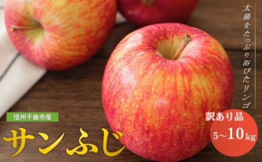 りんご サンふじ 家庭用 訳あり 約5kg / 10kg