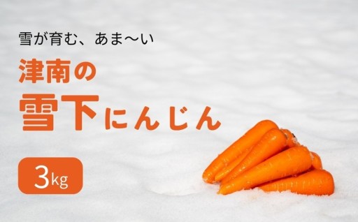 雪の下で甘くなる　津南の雪下にんじん先行予約